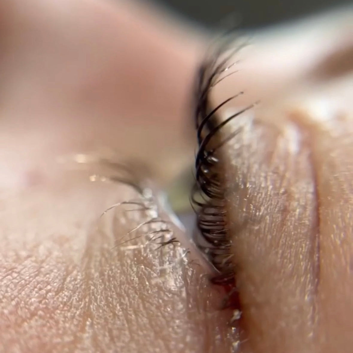FORMATION LASHLIFT